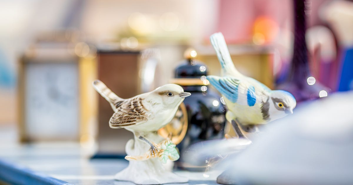 A group of birds on a table

Description automatically generated with low confidence