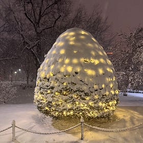 What do you want out of the coming year? 