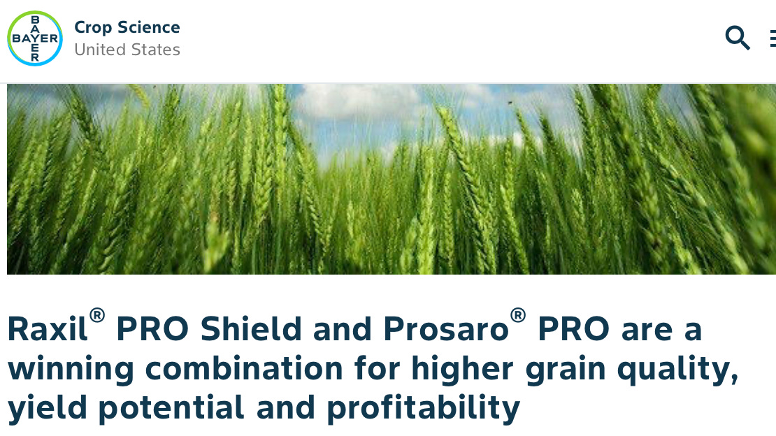 A close-up of a field of wheat
AI-generated content may be incorrect. A close-up of a field of wheat
AI-generated content may be incorrect.