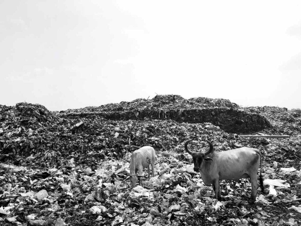 garbage dump and climate change garbage dump and climate change