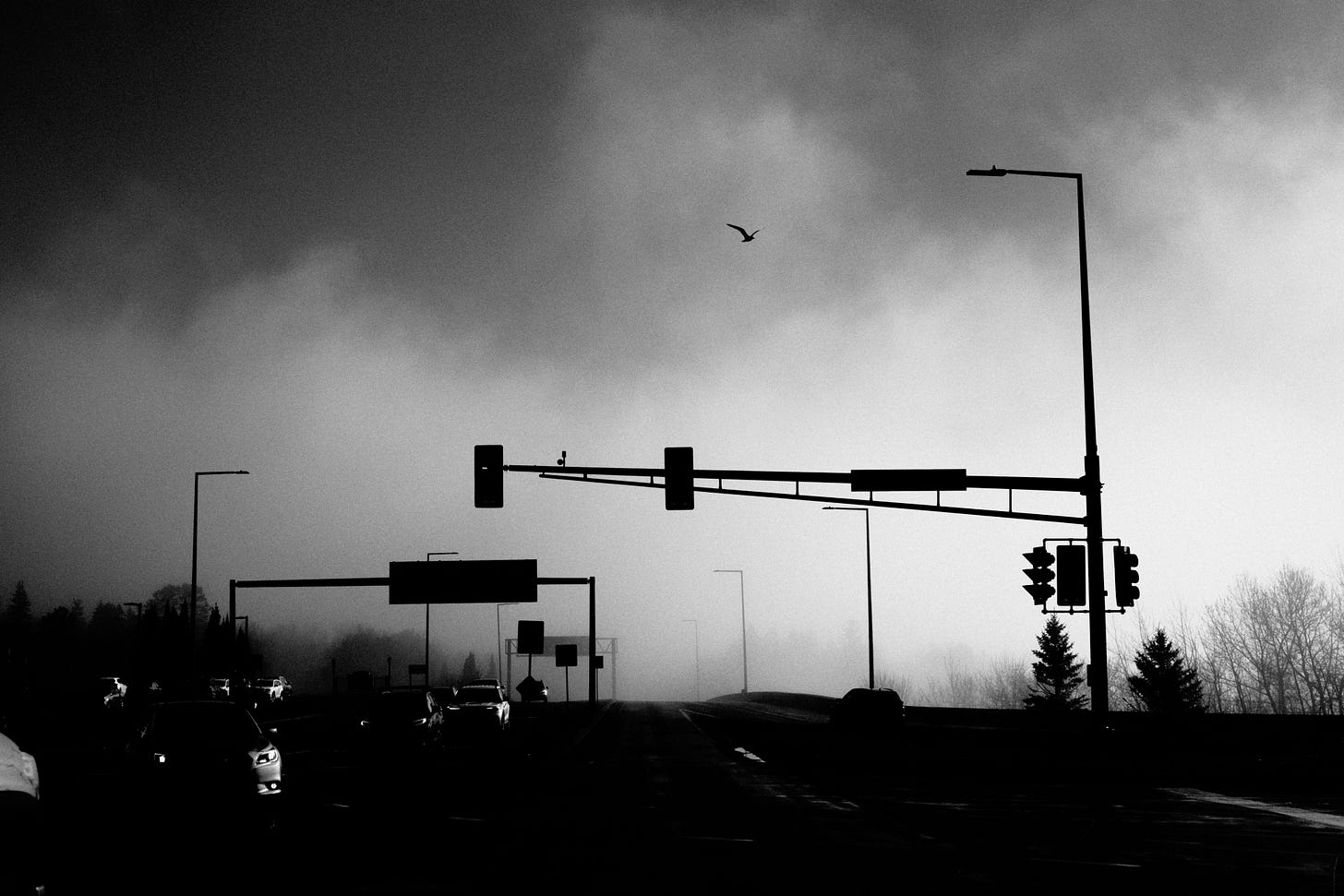 Stop Light
