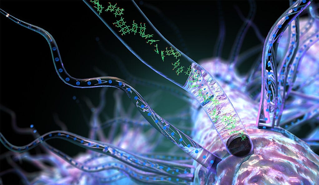 Nanowire illustration