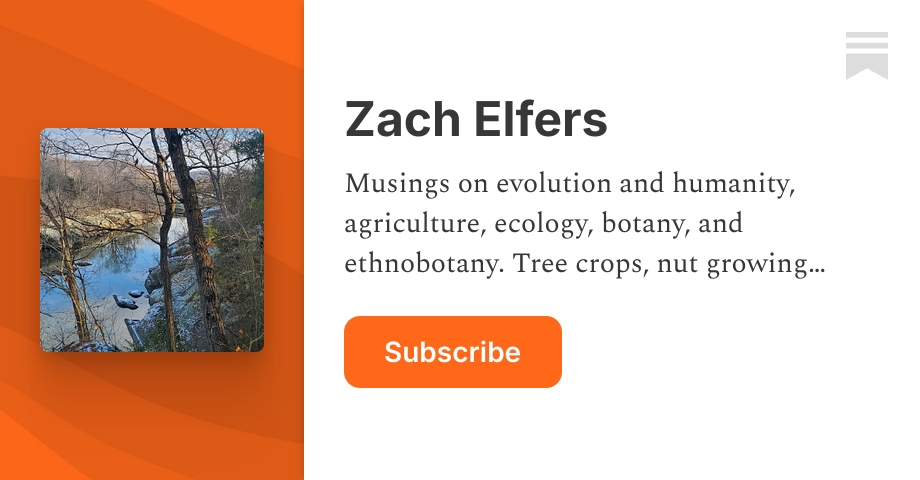 Zach Elfers | Substack