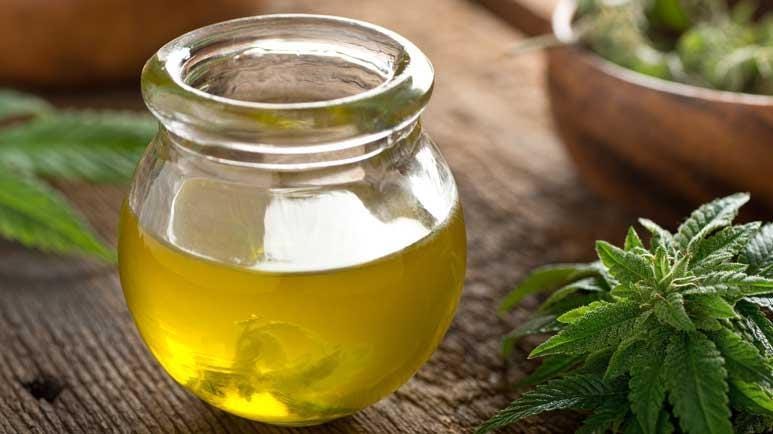 cbd oil shrinks tumor cbd oil shrinks tumor