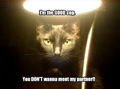 I Can Has Cheezburger? - interrogation ...