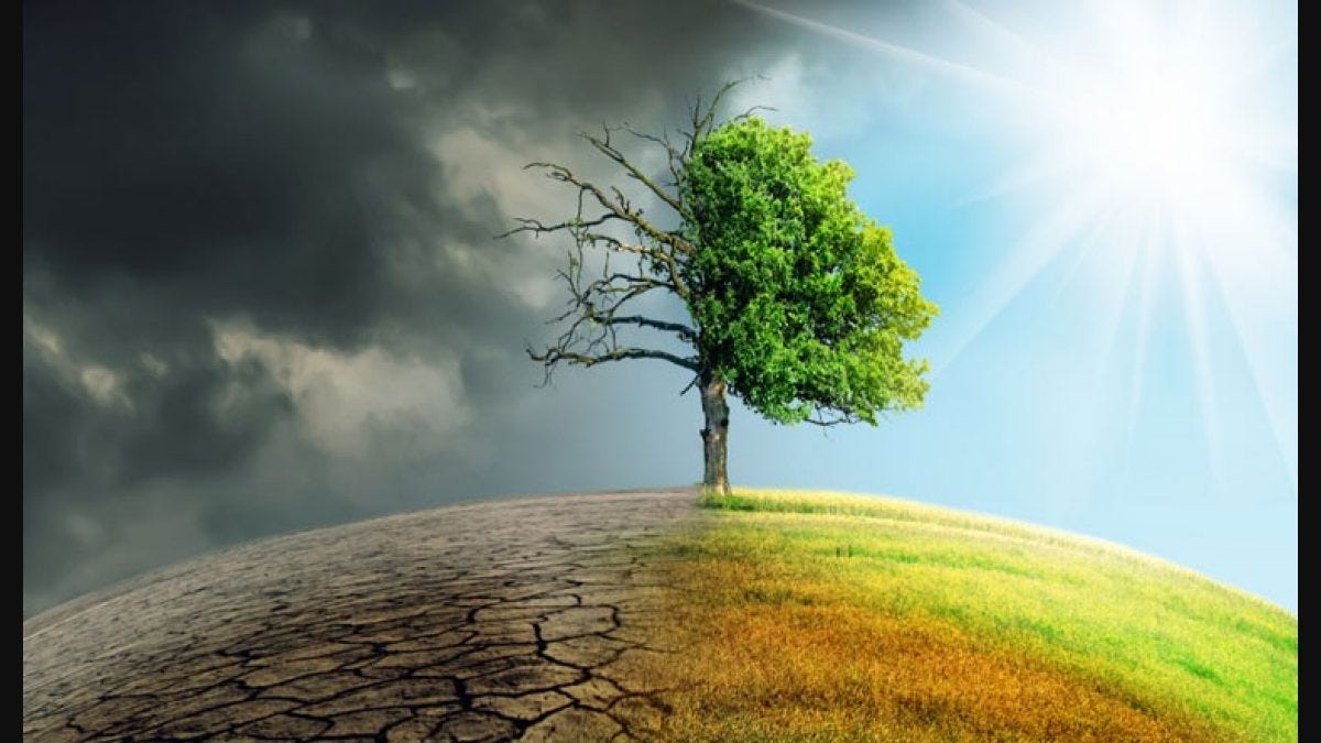 World will become uninhabitable hell, warns UN - The Week