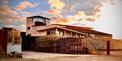 Wine from Álvaro Palacios · Vinissimus