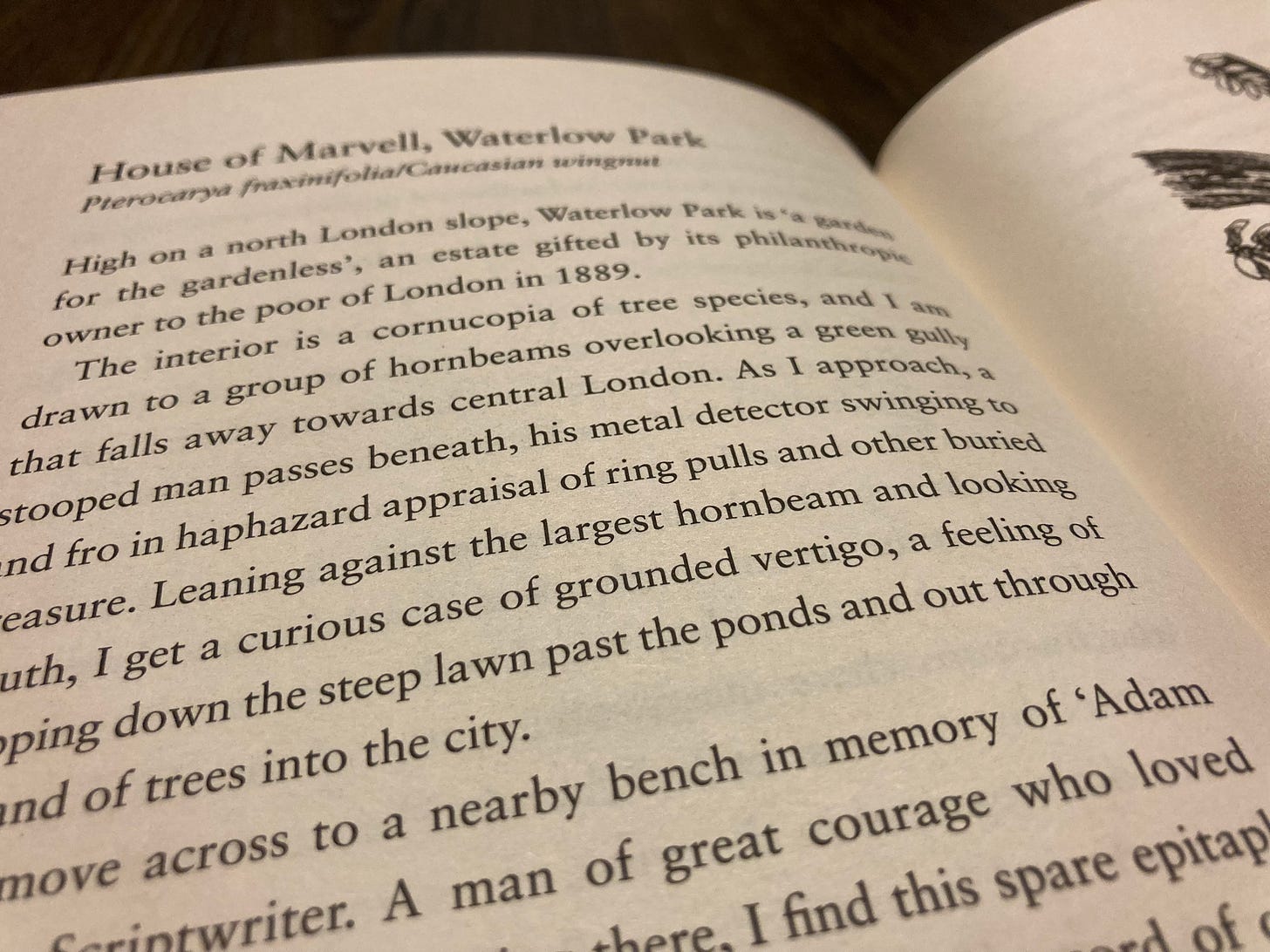 An angled view of one page of The Tree Climber's Guide.