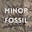 Minor Fossil's avatar