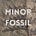 Minor Fossil's avatar