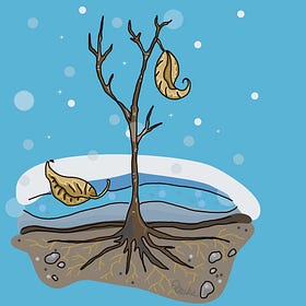 Where Do All the Plants Go in the Winter?