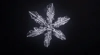 snowflake microscope GIF snowflake microscope GIF