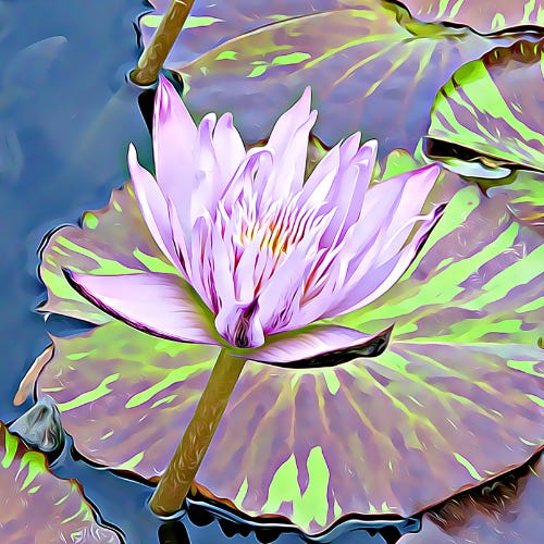 Leap Frog Chronicles