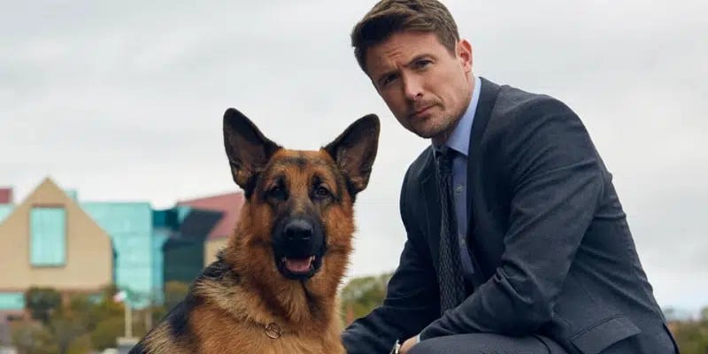 Locally-Filmed Show 'Hudson and Rex' Piques International Interest | VOCM Locally-Filmed Show 'Hudson and Rex' Piques International Interest | VOCM