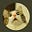 Nicole's avatar