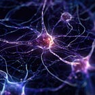 The mind, and habits - Use it or lose it