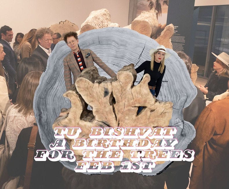 TU BISHVAT ARTIST TALK AND CELEBRATION FEB 1 TU BISHVAT ARTIST TALK AND CELEBRATION FEB 1