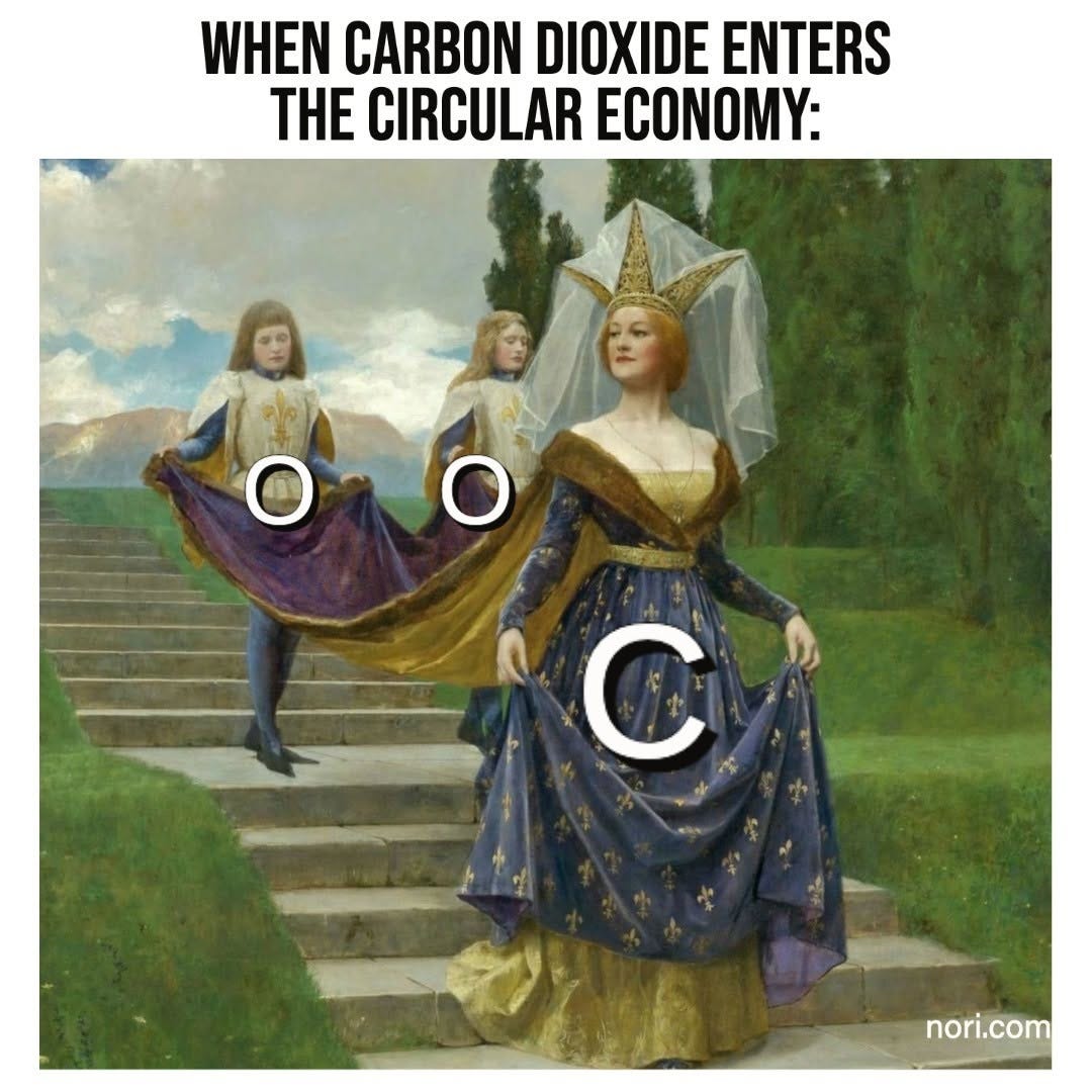 Text: "When carbon dioxide enters the circular economy:" Below, a painting of a noblewoman in a blue gown descending steps, labelled "C", with two pages holding her train, each labelled "O".