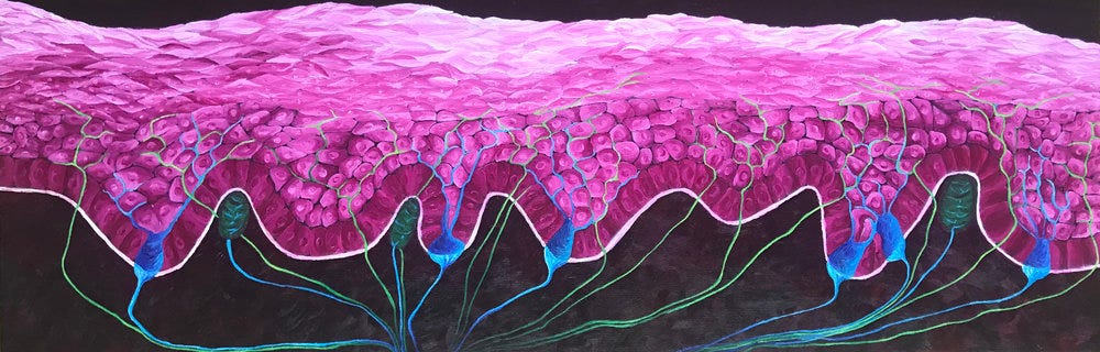 Cells of Life