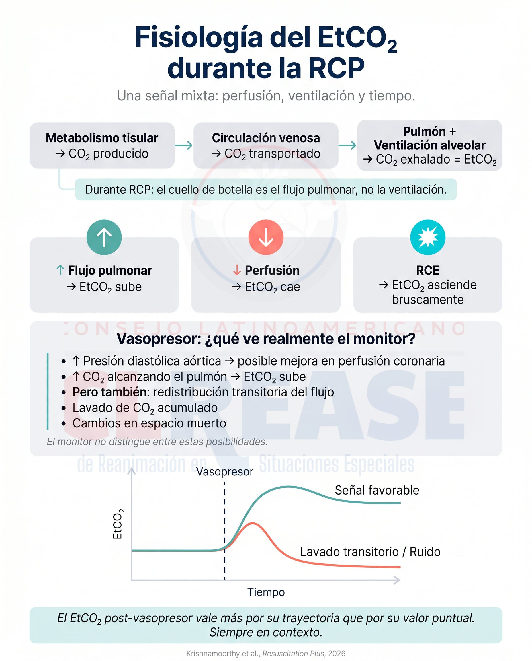 EtCO2 en RCP: Interpreta la trayectoria, no el valor