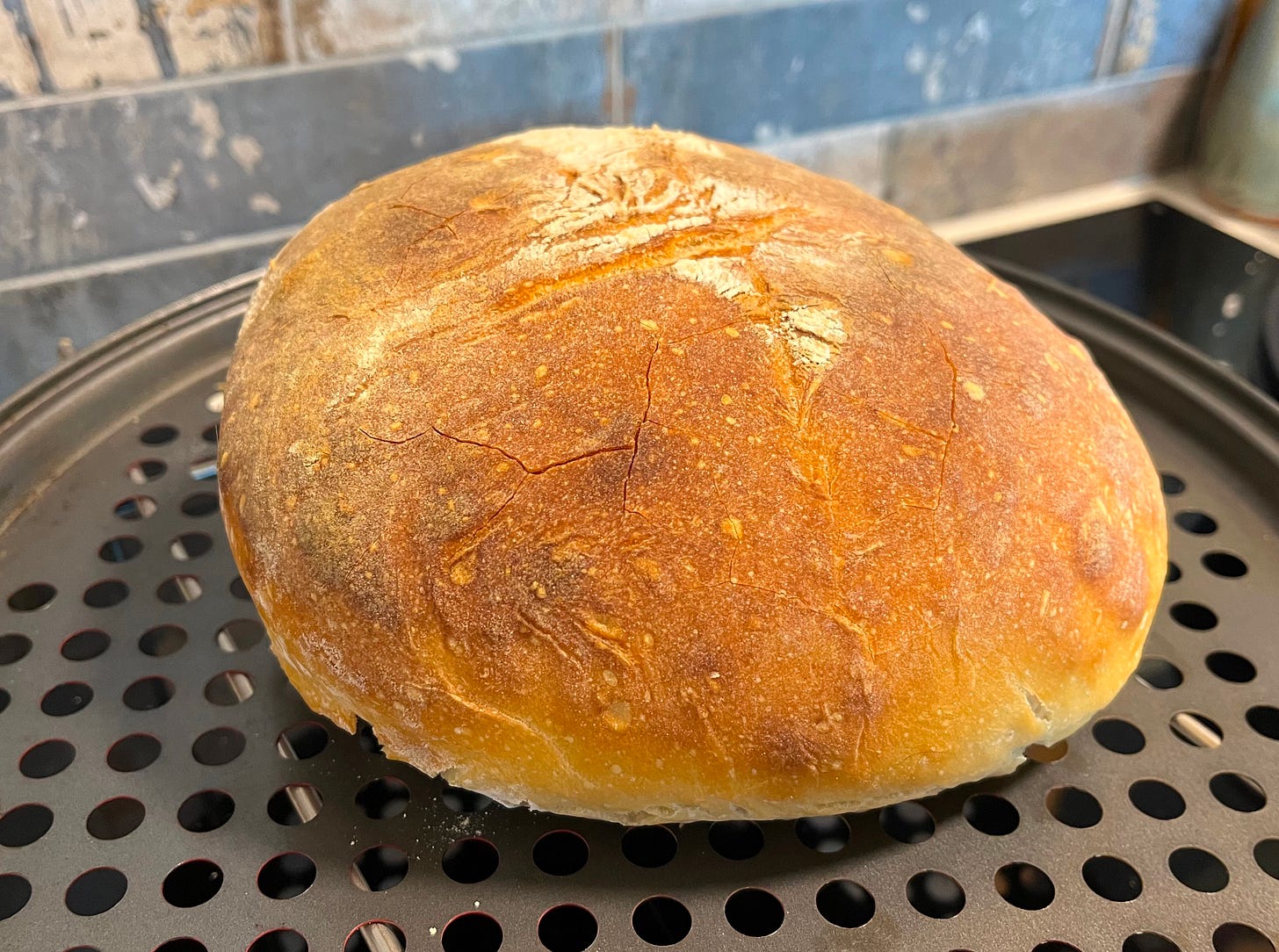 round loaf of baked sourdough bread on circular pan round loaf of baked sourdough bread on circular pan