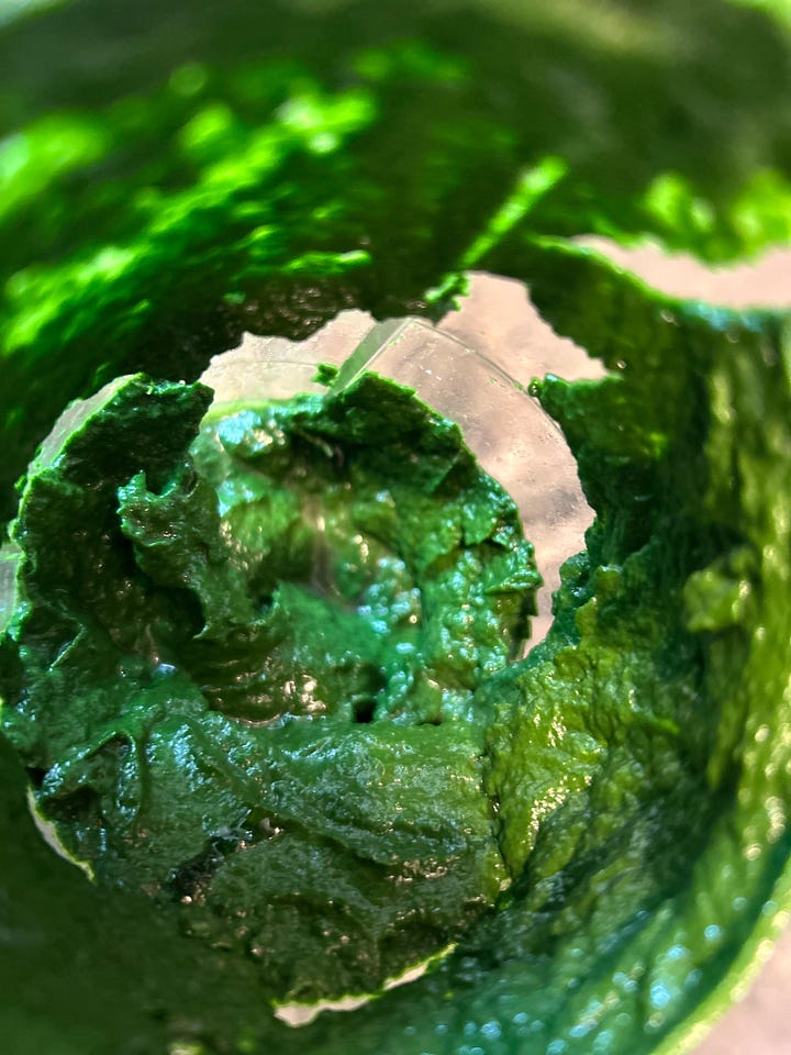 Palak Paneer coming together