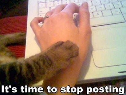 Its-time-to-stop-posting-cat