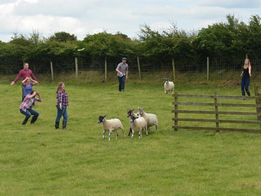 Farm adventure activities instructor in Shropshire and Wiltshire