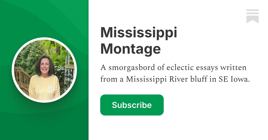 Mississippi Montage | Susan Beckman | Substack