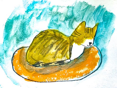 tabby kitten and art illustrations by Beth Spencer