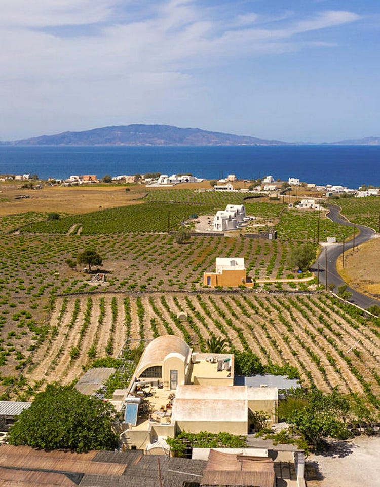 The Sigalas winery website speaks lovingly of Santorini: "There are no words to describe the magnificence of Santorini, whose wines are a delight to savour and, like the island's sunsets, draw applause and appreciation. Wine has always been part of life on Santorini that prides itself on having some of the oldest vineyards in the world."