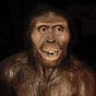Australopithecus afarensis's avatar