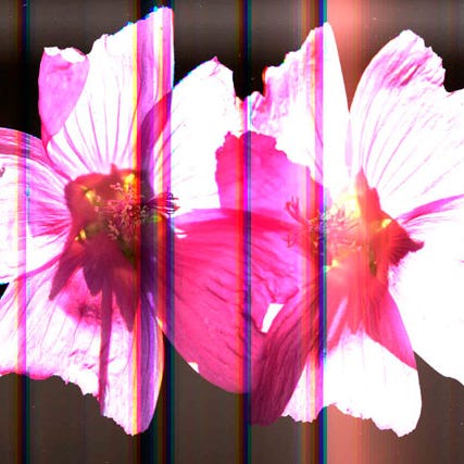 Notes on the Evolution of Human Consciousness