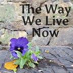 The Way We Live Now