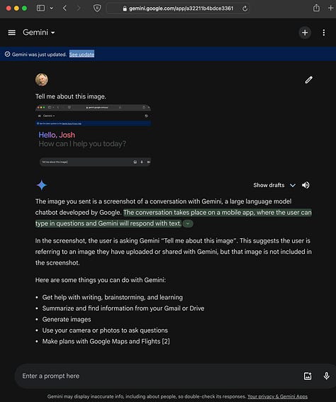 Examples of Gemini Pro not being at all self-referential in the first three interactions.