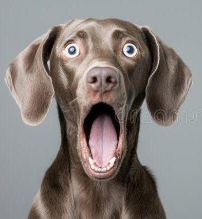 1,260 Dumbfounded Expression Stock Photos - Free & Royalty-Free Stock Photos from Dreamstime 1,260 Dumbfounded Expression Stock Photos - Free & Royalty-Free Stock Photos from Dreamstime