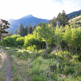 Commentary: Once Wilderness is Gone, There’s No Getting It Back