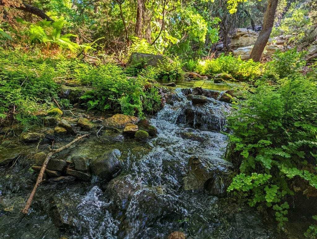 Gorman Springs