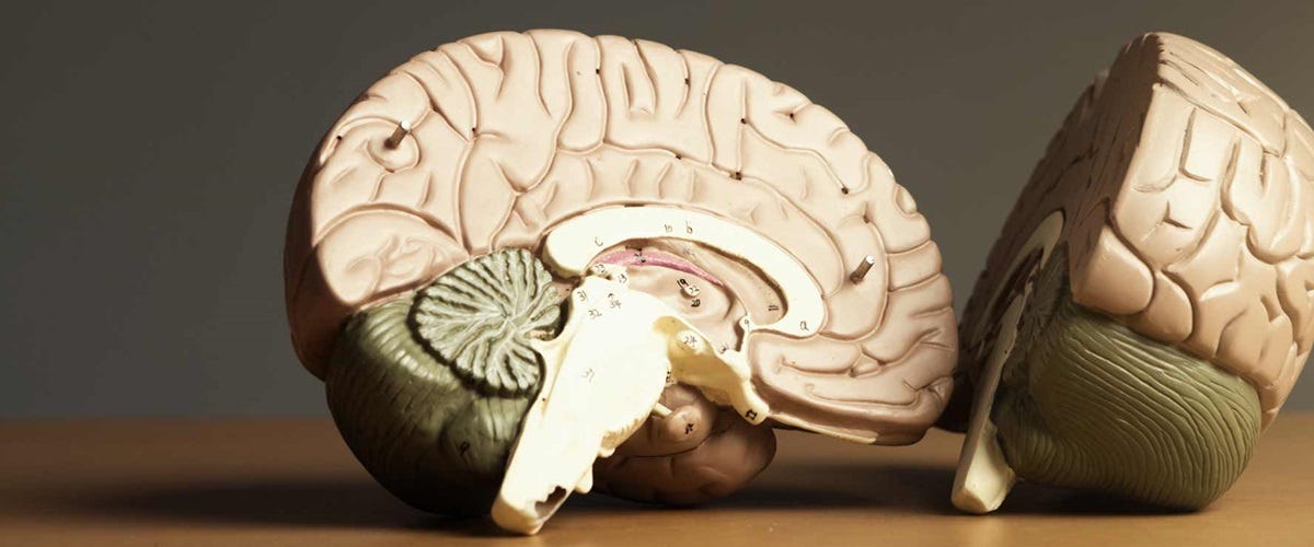 stevekirsch.substack.com