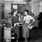 Slow Living is Destroying Our Productivity