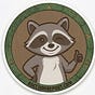 Chief Raccoon's avatar