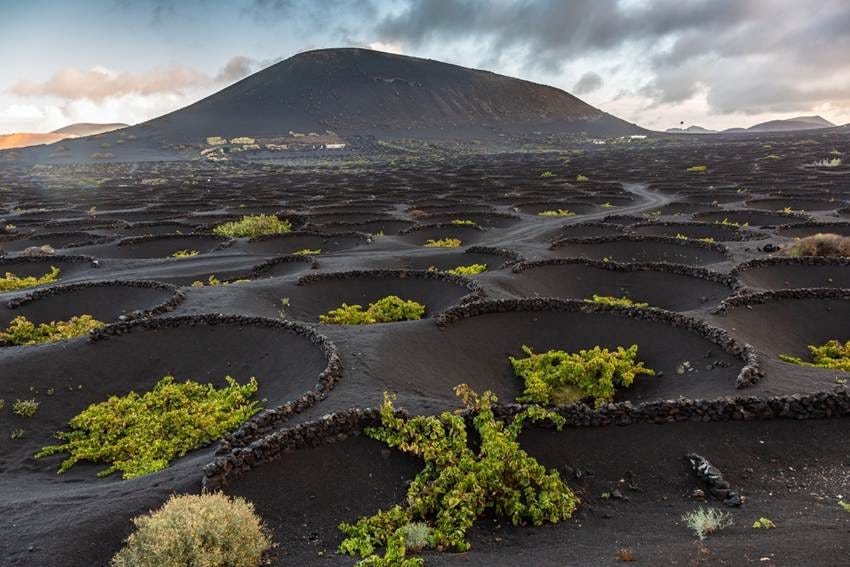 A landscape with a hill and plants

AI-generated content may be incorrect.