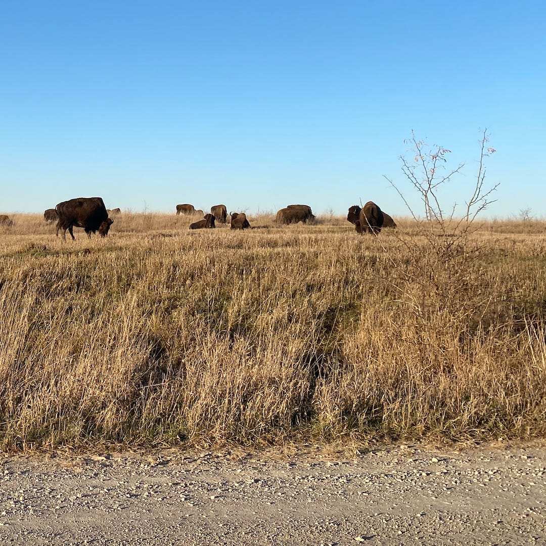 Neighborhood Association