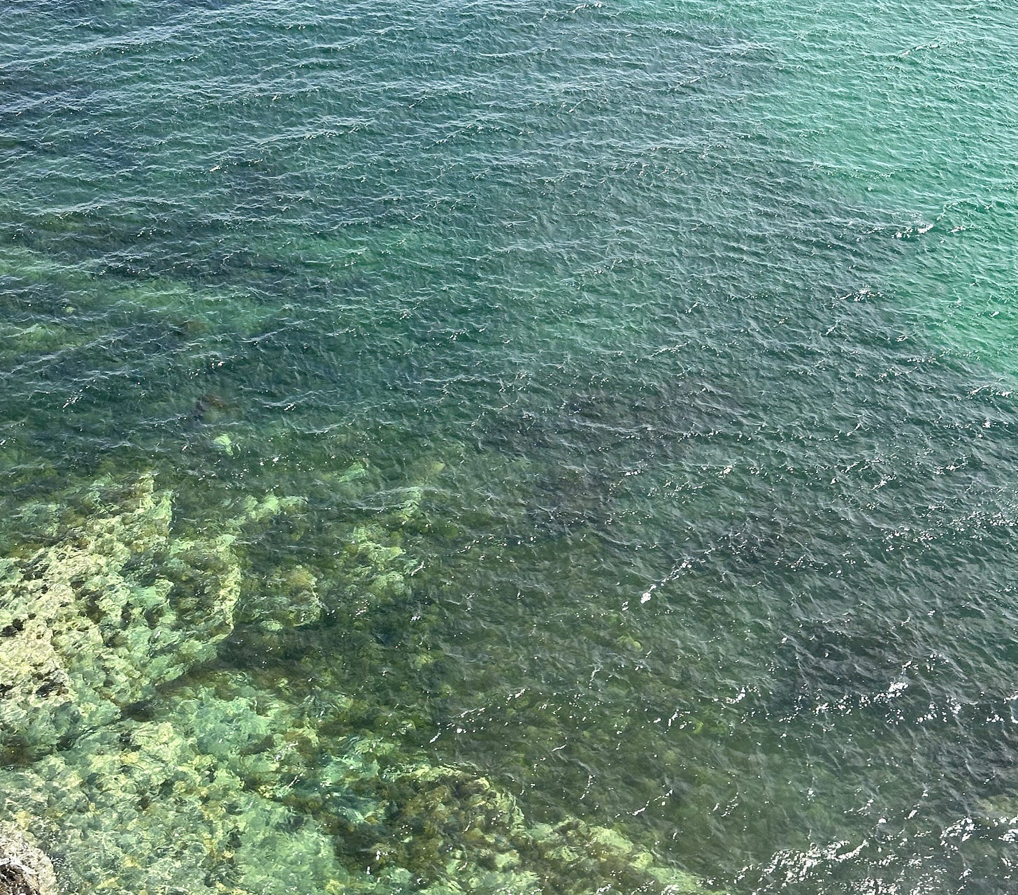 an image of the sea very close up. it is bright greenish blue with choppy little waves. at the bottom of the image are barnacle-crusted rocks
