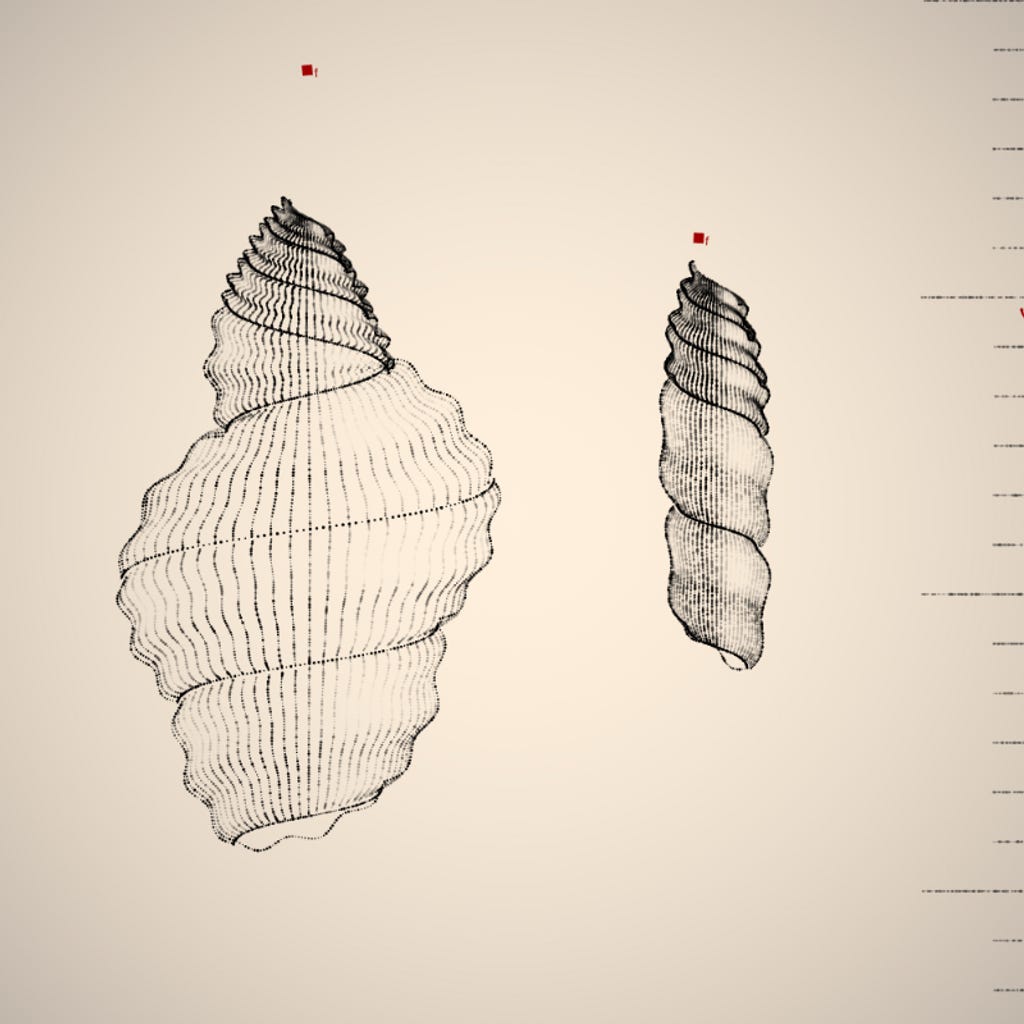 Two Specimen #137 Two Specimen #137