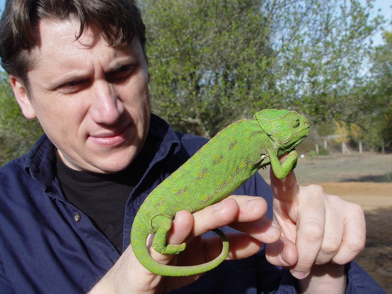 A man is holding a chameleon. 