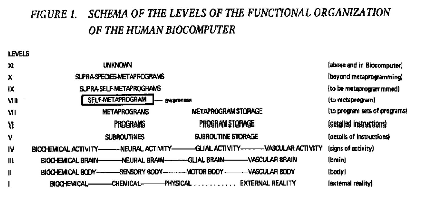A diagram from Biocomputer entitled "Schema of the Levels of the Functional Organization of the Human Biocomputer". A diagram from Biocomputer entitled "Schema of the Levels of the Functional Organization of the Human Biocomputer".