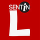 Sentin L’s Substack
