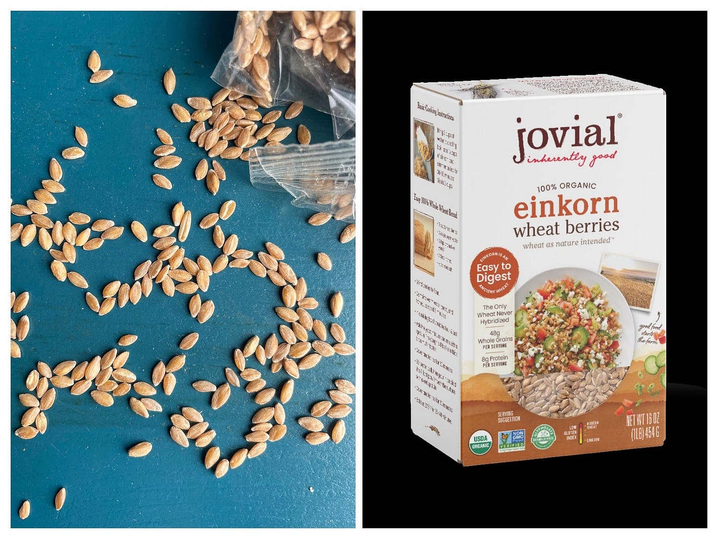 Einkorn wheat berries Einkorn wheat berries