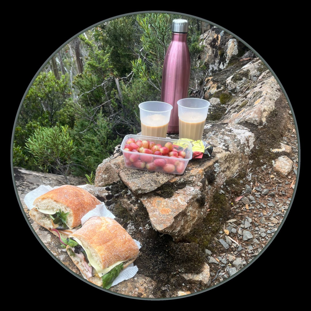 a picnic in the forest